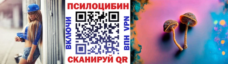 Псилоцибиновые грибы ЛСД  Болгар 